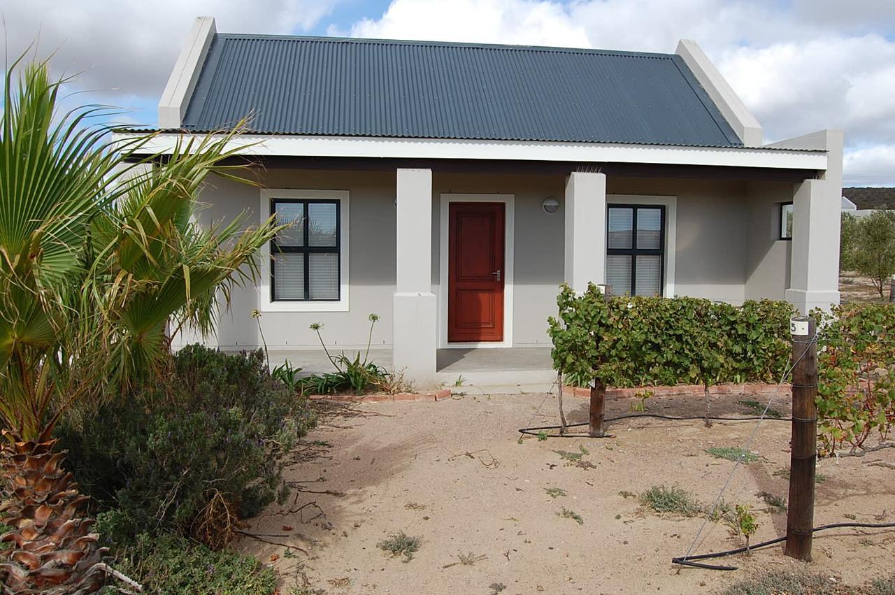 Longacre Olive & Vineyard Estate Guest House Langebaan Bagian luar foto