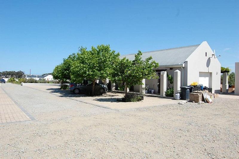 Longacre Olive & Vineyard Estate Guest House Langebaan Bagian luar foto