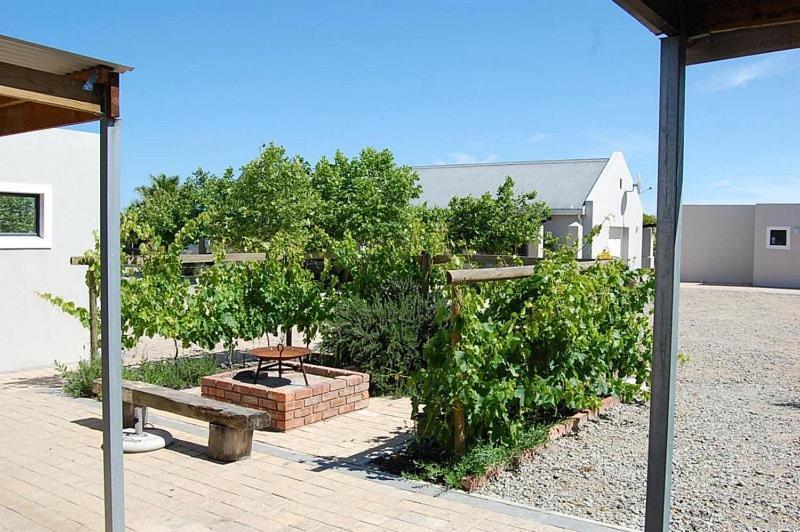 Longacre Olive & Vineyard Estate Guest House Langebaan Bagian luar foto