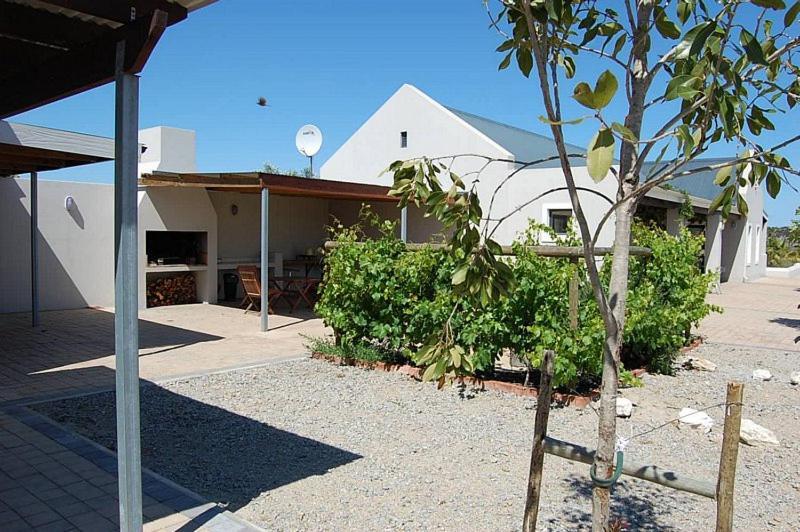 Longacre Olive & Vineyard Estate Guest House Langebaan Bagian luar foto